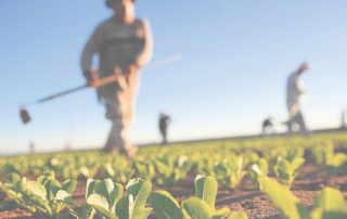 mantenimiento herramientas jardín y agrícola - herrami